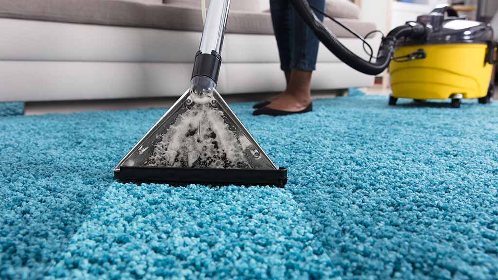  Best Carpet Cleaning 